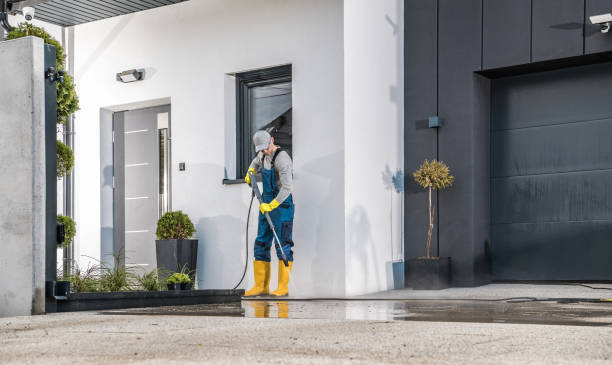 Animal Enclosure Cleaning in Oldsmar, FL